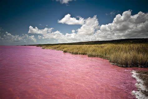 Sky, grass, and a pink-hued river